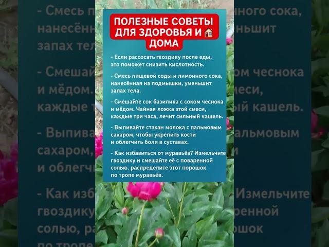 ПОЛЕЗНЫЕ СОВЕТЫ ДЛЯ ЗДОРОВЬЯ И ДОМА 