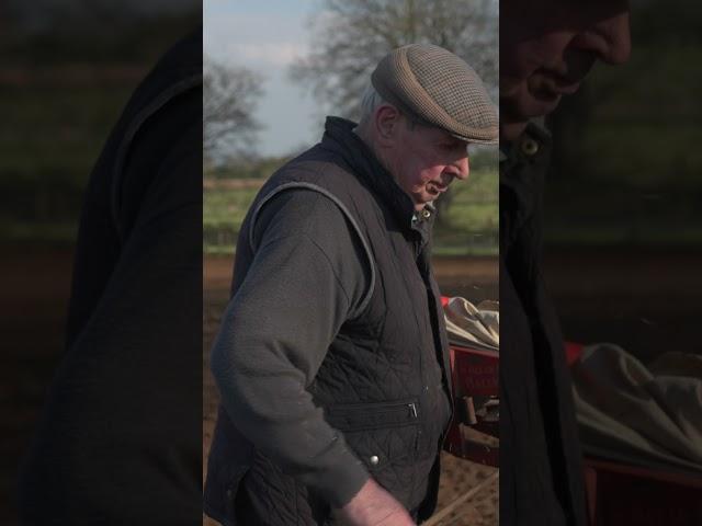 Sowing  seed with a corn fiddle