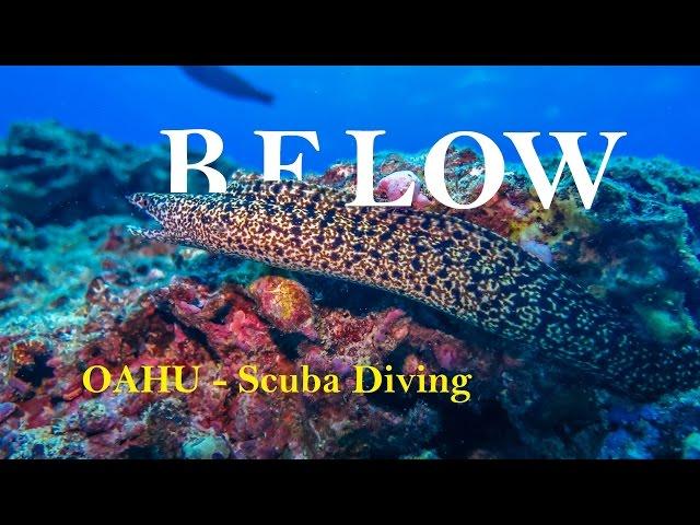 BELOW - Oahu Awesome Scuba Diving  GoPro 4K - Hawaii