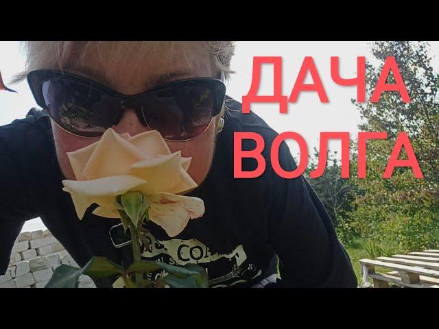 Рынок в ЗЕЛЕНОДОЛЬСКЕ. В ГОСТЯХ У ПОДРУГИ. ДАЧА НА ВОЛГЕ. ЛЮБИМАЯ "ЛАСТОЧКА". #kurnosiklife #волжск