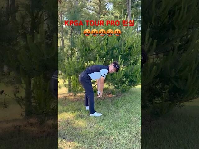#golf #골프유튜브 #유투버꿈나무 #유투버 #youtube #youtubevideo #youtubeshorts #golftips #automobile #골프 #korea