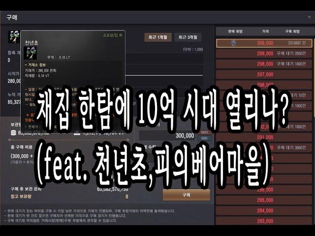 검은사막(BDO) - 채집 한탐에 10억 시대 열리나?(feat. 천년초,피의베어마을)