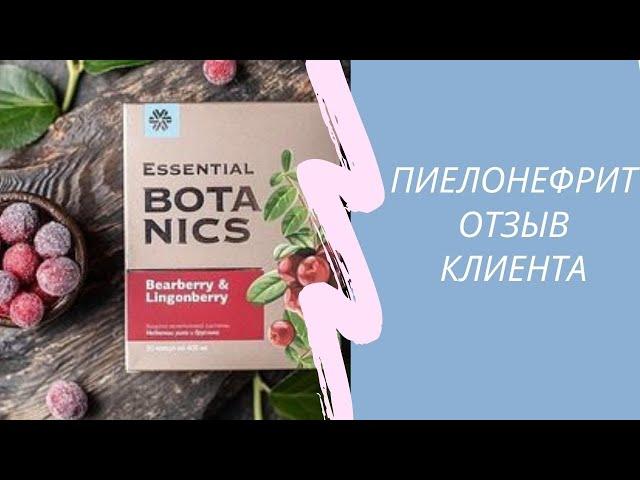 Пиелонефрит. Медвежьи ушки и брусника. Отзыв клиента. Сибирское здоровье/Siberian Wellness.