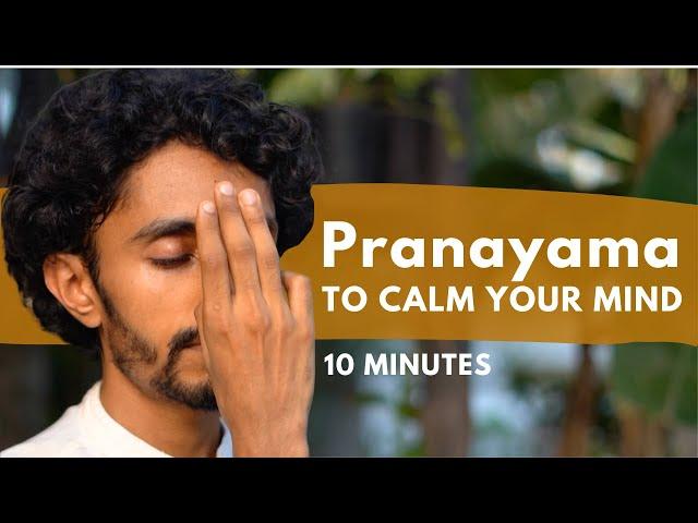 10 minute Pranayama to Calm your Mind 