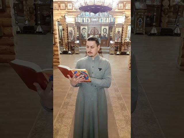 О милосердном Самаряныне. Воскресное Евангелие. Лк.52зач. Неделя 24-я по Пятидесятнице.