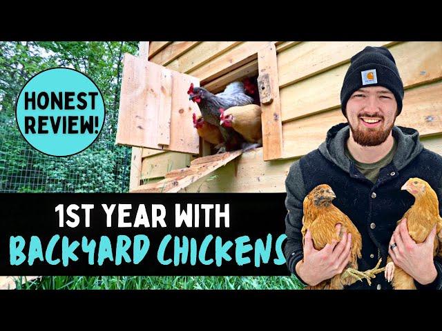 Honest Review of Owning BACKYARD CHICKENS