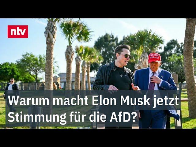 Warum macht Elon Musk jetzt Stimmung für die AfD? - Trump-Flüsterer mischt sich ein | ntv