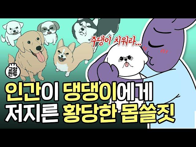 인간들이 개에게 저지른 황당한 몹쓸짓들│강아지와 인간 사이에 숨겨진 흑역사