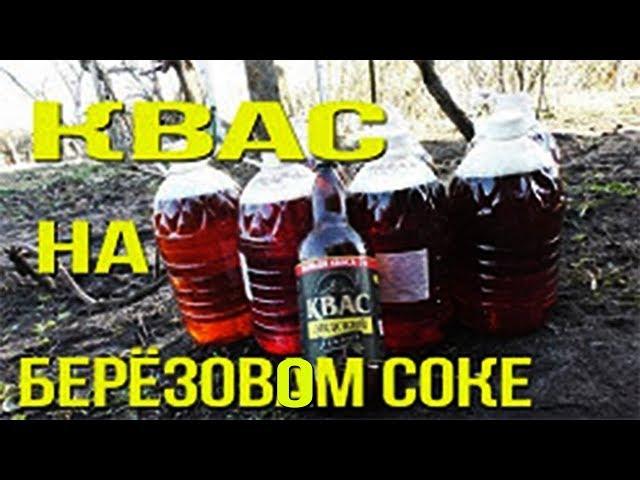 БЕРЁЗОВЫЙ сок с Лидским квасом приготовление/ Рецепт берёзового кваса