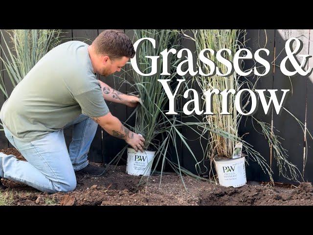 Planting Firefly Yarrow & Totem Pole Grasses || Visit Our Garden