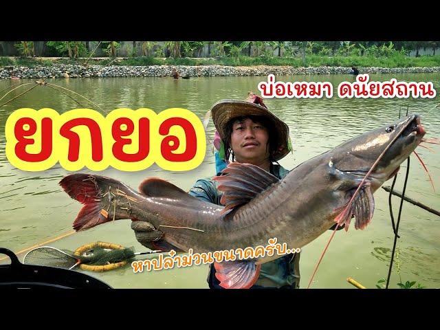 ยกยอ บ่อเหมาดนัย ►Fishing lifestyle Ep.735