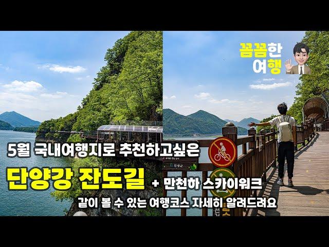 단양강 잔도길과 만천하 스카이워크를 묶어 코스 짜는 꿀팁