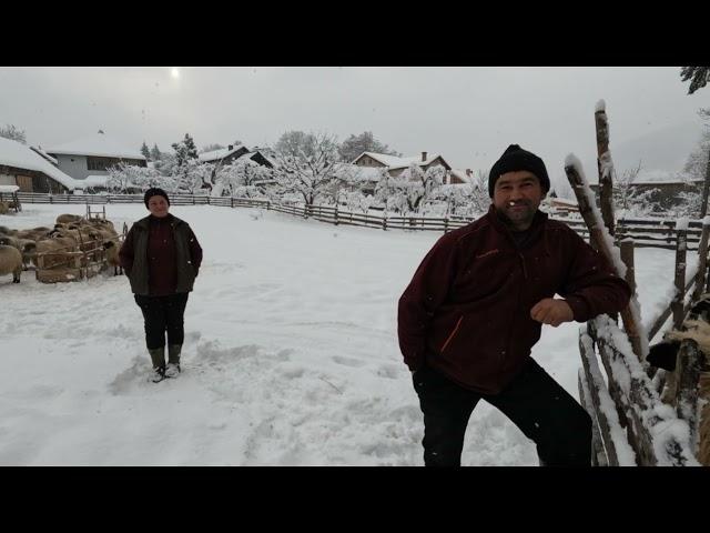 OILE BREZE A FAMILIEI NUTU ANCA DIN -RODNA .B-N.O FAMILIE DE OAMENI GOSPODARI .