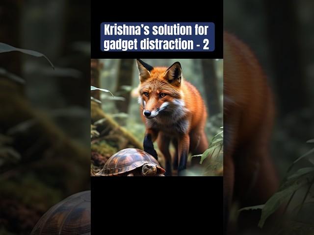 Krishna's Warning and Solution for Modern Distractions -2 #motivation#viral #viralvideo #viralshorts