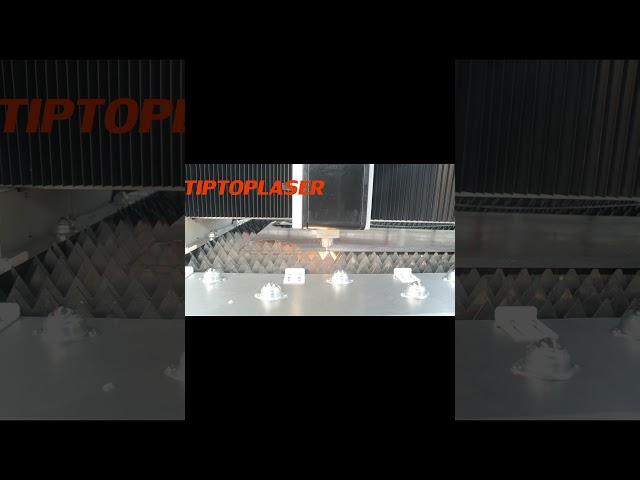 TipTop Laser Automatic laser cutting machine