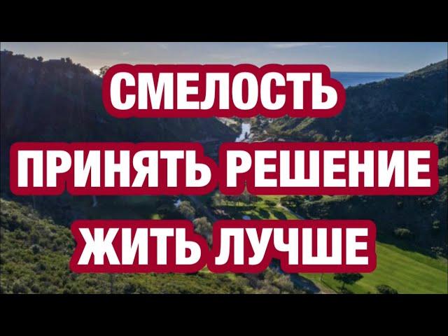 Смелость принять решение жить лучше #сша #калифорния # психология