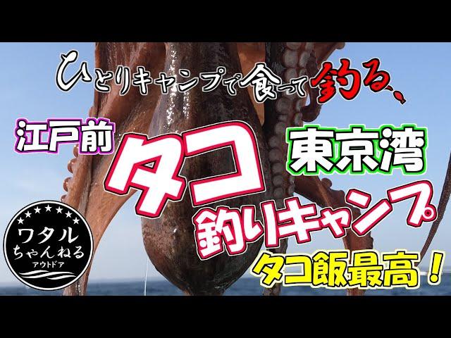 【ひとりキャンプで食って釣る】東京湾タコ釣りキャンプ