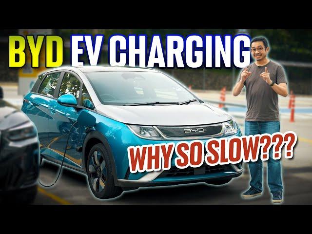 Why is the BYD Dolphin/Atto 3 slow to charge? Here's why | EV Guide