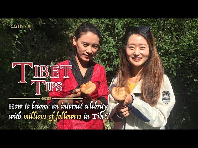 Vlog in Tibet: A day with Chinese blogger with millions of followers