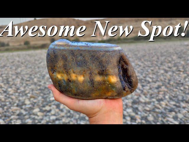 Agates, Petrified Wood, & The Northern Lights! Rock Hunting a New Honey Hole on the Yellowstone!