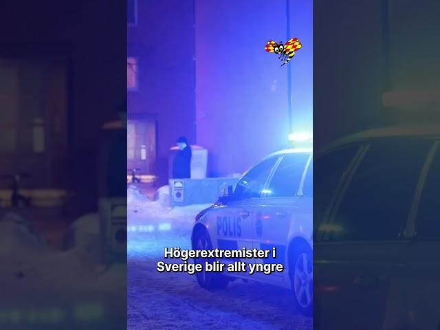Linda Jerneck: Helt sjukt– så lockar nazister barn