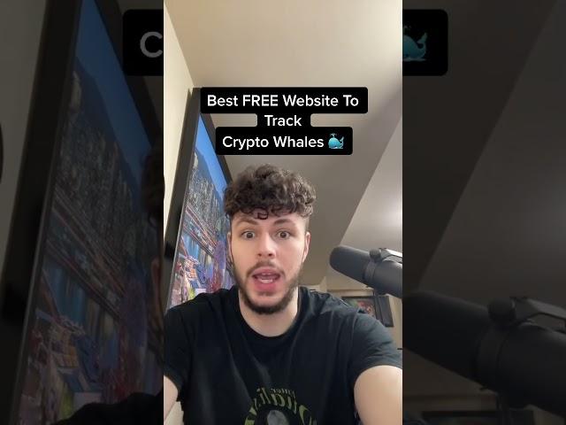 HOW TO FIND & TRACK CRYPTO WHALES YOURSELF! 