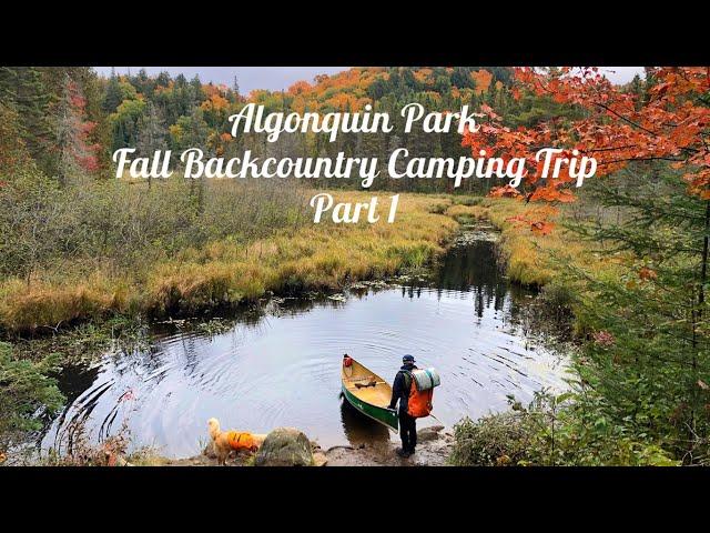 Algonquin Park Fall Backcountry Canoe Camping with a Dog and Steak On The Coals