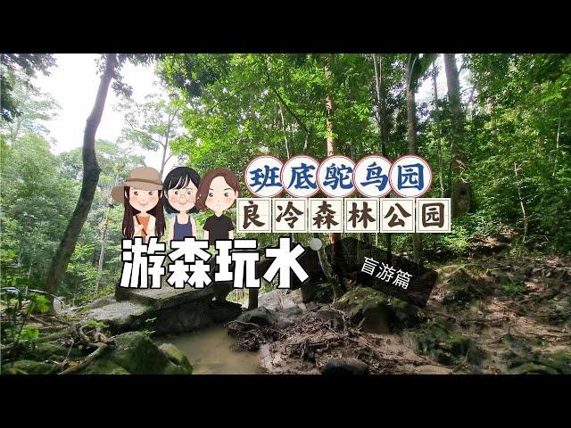 游森玩水-芙蓉“盲游”篇