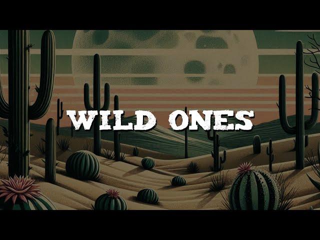 Jessie Murph, Jelly Roll - Wild Ones (Lyrics)