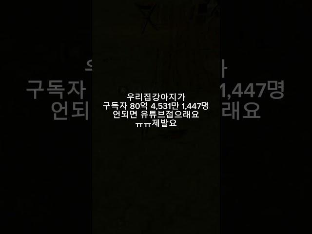 우리집강아지가구독자80억 4,531만 1,447명안되면 접으레요ㅠ