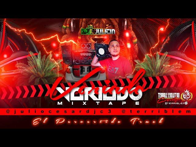 VARIADO VOL.1 MIX 2024 - Dj Julitin Ft Terrible Evolution Corporation  El Pervertido Truck/ #viral