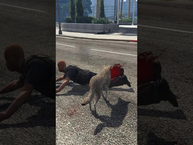 Coyote vs Cops In GTA 5 || #gta #gta5 #funnyshorts #gta5funnymoments #ytshortsvideo #trending