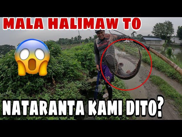 Nataranta kami at napalundag sa mala halimaw na linalang na to grabe sa laki