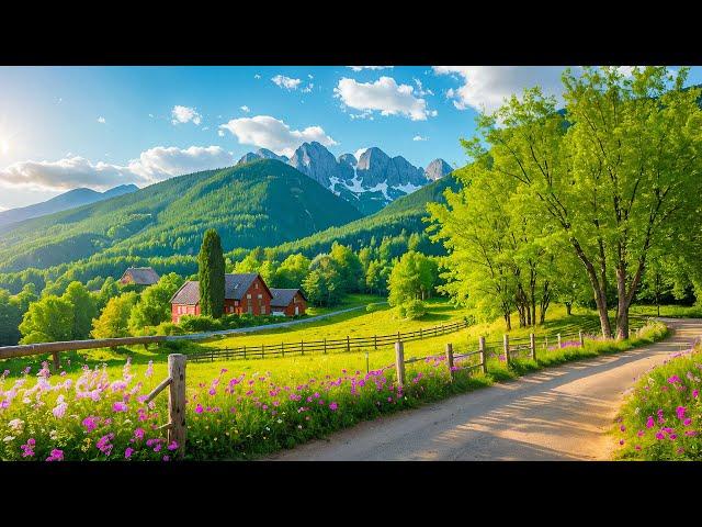 Beautiful Relaxing Music - Stop Overthinking, Stress Relief Music, Sleep Music, Calming Music #284