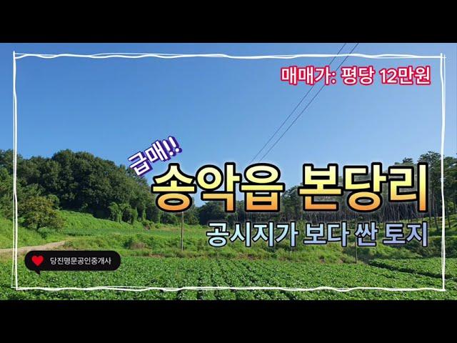 [급매][매물번호:0342]당진 땅매매당진시 송악읍 본당리 공시지가 보다 싼 토지 ,현재 콩밭농사짓고있음 / 2,024평(6,690m2) / 매매가 평당12만원