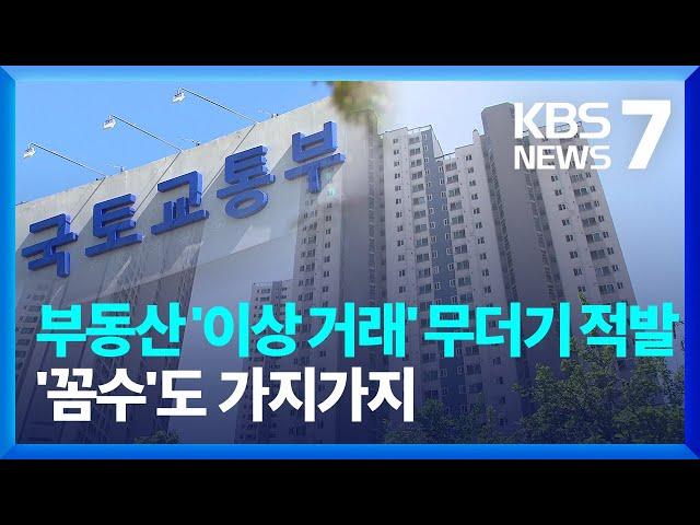 부동산 이상 거래 무더기 적발…사례 살펴보니 '꼼수'도 가지가지 / KBS  2024.08.13.