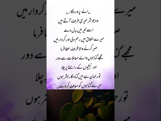 Beautiful Dua // Islamic prayer// all problems dua #shorts #youtubeshorts #trending #viralvideo
