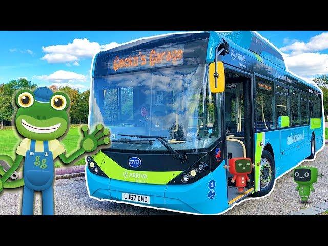 Bus Videos For Children | Gecko's Real Vehicles