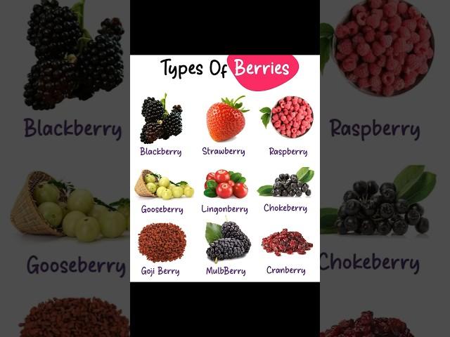 Types Of Berries #berry #berries #berriestypes #chefstalk #shorts #ytshorts #ramchef