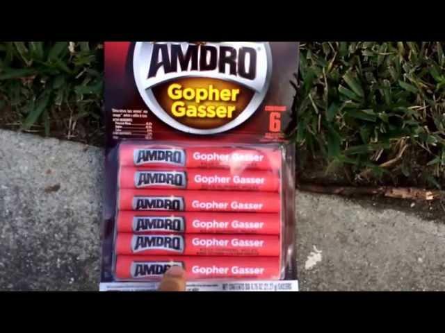 How To Get Rid Of Gophers and Moles With Amdro Gopher Gasser