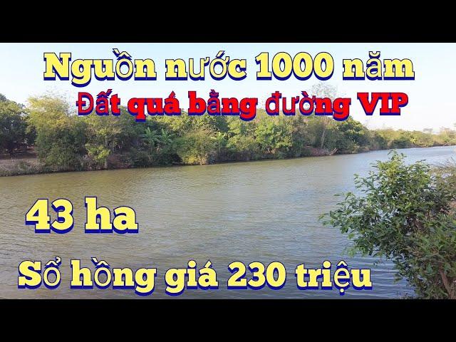 Cần nhượng 43 ha đất thịt bờ suối lớn giá rẻ như này ạ lh, 0983803253