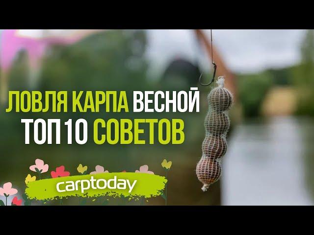 ТОП 10 СОВЕТОВ по ЛОВЛЕ КАРПА ВЕСНОЙ! Прикормка // Насадка // Выбор места // Монтаж // Тактика!