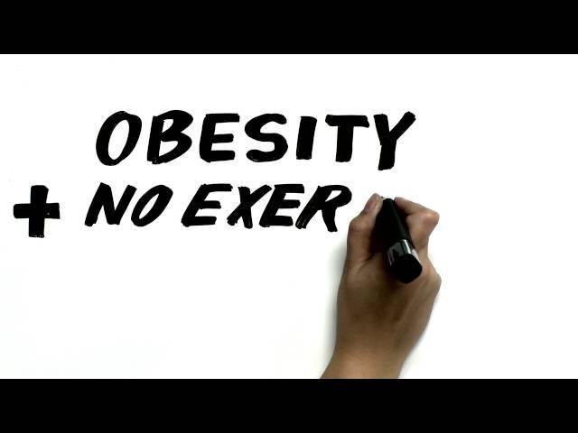 23 and 1/2 hours: What is the single best thing we can do for our health?