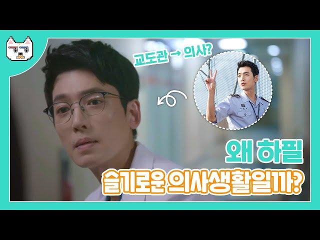 왜 하필 슬기로운 의사생활일까? l 궁금스 ep.12