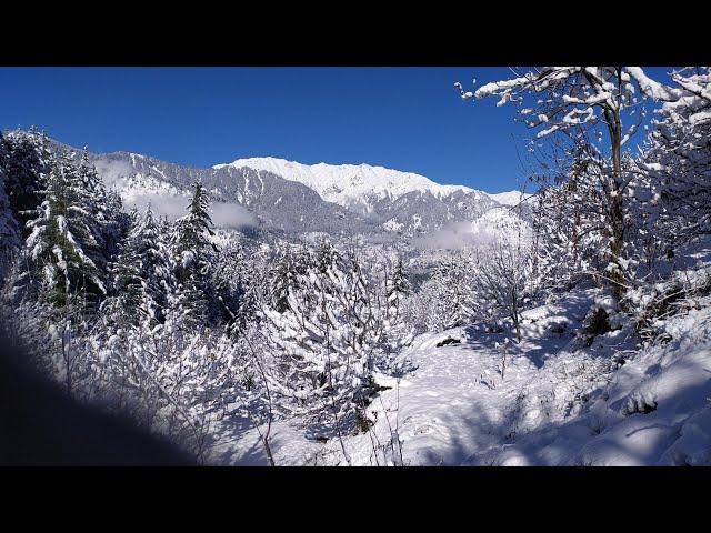 SnowFall Vlog||BEE BOX||first ever vlog||Himalayan bee man ️