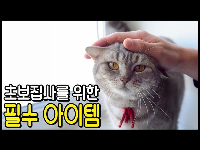 초보집사 분들에게 추천하는 필수템 BEST 7 (Feat. 내돈내산)