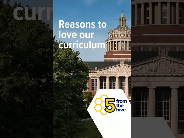 Five from the Hive: Reasons to Love Our Curriculum