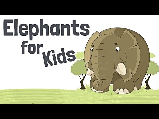 Elephants for Kids