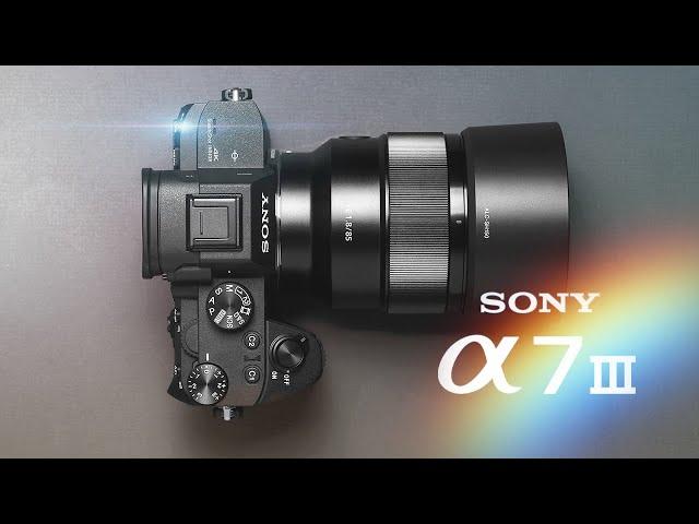 Sony A7III Review: Should You Buy The Sony A7III in 2023?!