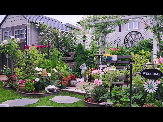 Tiny Backyard Garden Tour Plants and Flowers  #garden #gardening #gardentour #plants #flowers #new